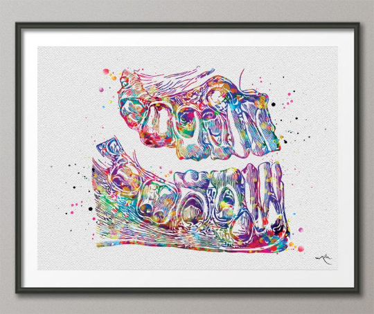 Teeth Anatomy Watercolor Print Tooth Anatomical Art Dental Clinic Decor Art Dentistry Student Dentistry Office Graduaiton Dentist Gift-244 - CocoMilla