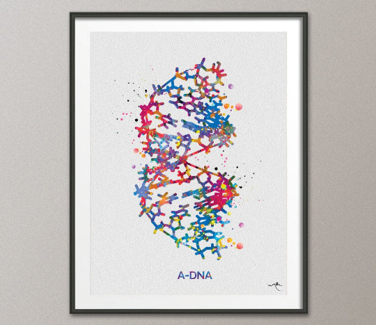 DNA Molecule A-DNA Watercolor Print Medical Wall Art Nurse Gift Medical Art Science Art Clinic Gift Doctor Genetic Laboratory Biology-1053 - CocoMilla