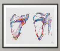 Scapula and Clavicle Shoulder Bones Watercolor Print Human Body Anatomy Medical Art Physiotherapists Chiropractic Skeletal Orthopedic-1223 - CocoMilla