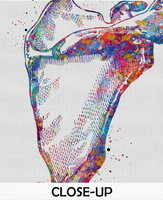 Scapula and Clavicle Shoulder Bones Watercolor Print Human Body Anatomy Medical Art Physiotherapists Chiropractic Skeletal Orthopedic-1223 - CocoMilla