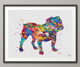 English Bulldog Art Watercolor Dog Print Pet Gift Pet Dog Love Friend Dog British Bulldog Dog Art Dog Wall Art Doglover Gift Dog Print-468 - CocoMilla