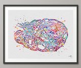 Ovary Watercolor Print Female Reproductive System Histology Gynecology Anatomy Medical Gynecologist Gift OBGYN Medical Nurse Doctor Art-318 - CocoMilla