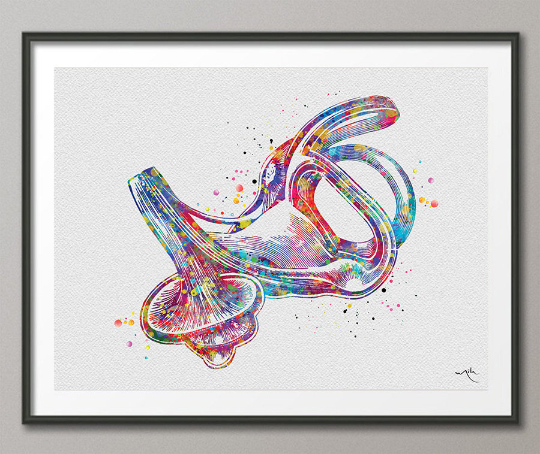 Labyrinth of Inner Ear Watercolor Print Audiologist Gift Audiology Poster Ear Diagram Anatomical Office Decor Medical Art Histology Art-1639 - CocoMilla