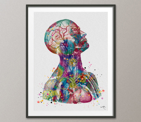 Anatomical Torso Watercolor Print Cardiology Decor Medical Art Print Human Anatomy Art Print Laboratory Decor Doctor Print Wall Hanging-1076 - CocoMilla