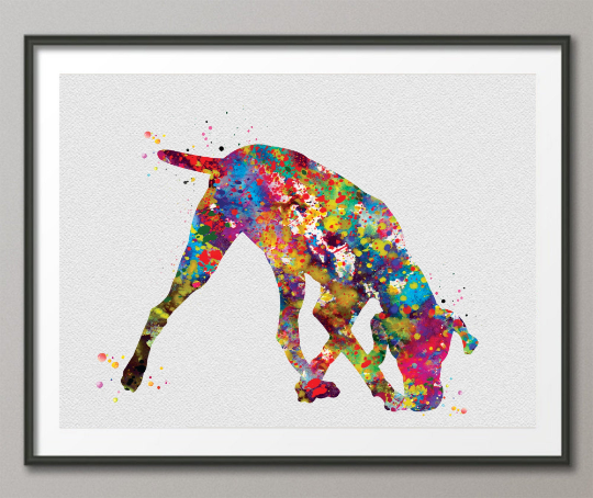 Hungarian Vizsla Dog Watercolor Print Magyar Dog Pet Gift Dog Love Puppy Friend Dog Art Customizable Animal Poster Vizsla Poster Dogart-1451 - CocoMilla