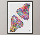 Synapse Receptor Watercolor Print Science Poster Neurology Art Nerve Cell Medical Art Brain Wall Art Graduation Gift Clinic Decor Gift-1026 - CocoMilla