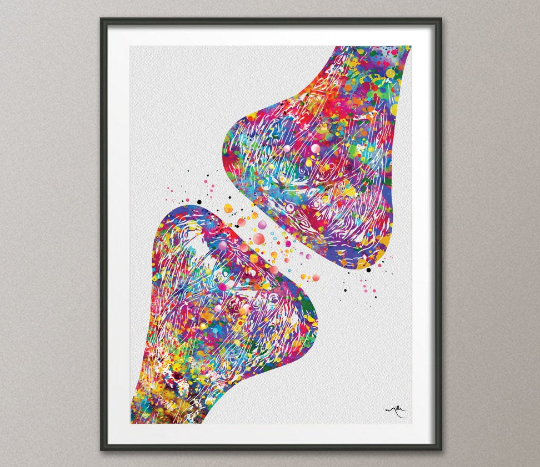 Synapse Receptor Watercolor Print Science Poster Neurology Art Nerve Cell Medical Art Brain Wall Art Graduation Gift Clinic Decor Gift-1026 - CocoMilla