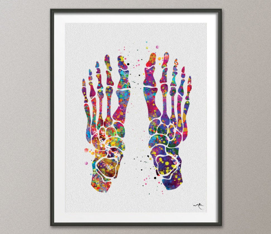 Foot Bones Watercolor Print Skeletal Foot Bones Medical Art Science Art Orthopedic Surgery Art Nurse Art Skeleton Print Clinic Decor-1004 - CocoMilla