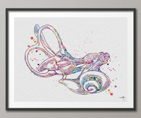 Cochlea Vestibular System Watercolor Print Ear Anatomy Middle Ear Art Audiologist Gift Audiology Clinic Decor Vestibule Medical Office-397 - CocoMilla