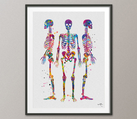 Cheap Human Anatomy Medical Anatomy Science Vintage Posters Art Canvas  Print Medical Doctor Clinic Wall Decor Pictures Canvas Painting | Joom