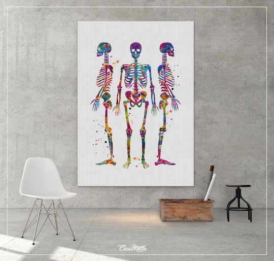 Anatomy Wall Art | Paintings, Drawings & Photograph Art Prints