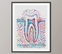 Molar Tooth Cross Section Watercolor Print Teeth Medical Art Surgeon Dental Clinic Office Decor Gift Dentist Dentistry Canvas Wall Art-730 - CocoMilla