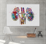 Adrenal Gland Art Watercolor Print Kidney Anatomy Medical Art Science Office Wall Art Endocrinology Art Endocrinologist Doctor Clinic-1325 - CocoMilla