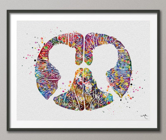 Lumbar Spinal Cord Cross Section Watercolor Print Medical Art Neurology Neurosurgeon Art Neurologist Wall Hanging Doctor Office Decor-1233 - CocoMilla