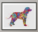 Irısh Water Spaniel Dog Watercolor Print Pet Gift Pet Dog Love Puppy Friend Dog Poster Dog Art Dog Wall Art Doglover Gift Animal Poster-1439 - CocoMilla