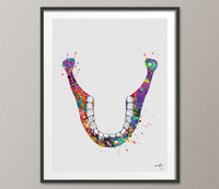 Human Jaw Skeleton Watercolor Print Lower Jaw Tooth Anatomical Medical Art Dental Art Clinic Dentistry Office Dentist Gift Doctor Art-321 - CocoMilla