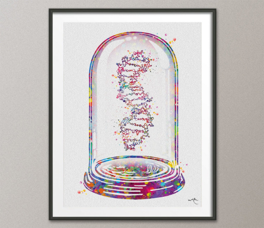 DNA Structure Collectible Watercolor Print DNA art Medical Art Office Decor Glass Dome Science Clinic Genetic Laboratory Decor Biology-1239 - CocoMilla