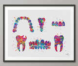 Dentist Art Watercolor Print Tooth Teeth Anatomical Dental Office Cabinet Dentistry Dental Implant Orthodontic Orthodontist Teeth Braces-260 - CocoMilla