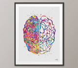Brain Anatomy Circuit Board Watercolor Print Science Art Computer Art Neurology Human Brain Engineer Gift Brain Science Poster Wall Art-1110 - CocoMilla