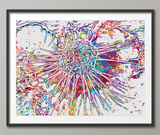Cancer Cell Watercolor Print Medical Art Science Histology T-Cells Biology Art Oncology Doctor Clinic Office Cancer Awareness Chemo Gift-201 - CocoMilla