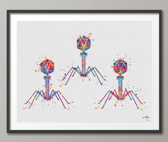 Bacteriophage Virus Watercolor Print Medical Art Biotech Wall Art Bioscience Microbiology Bacteria Art Biology Microscopy Science Decor-196 - CocoMilla