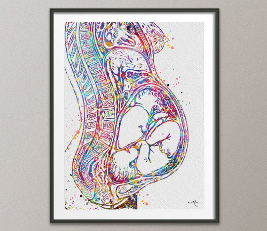 Twin Pregnancy Watercolor Print Womb Pregnancy Anatomy Gynecology Obstetrician Nursing Midwife Baby Fetus Medical Art Clinic Doctor Gift-869 - CocoMilla