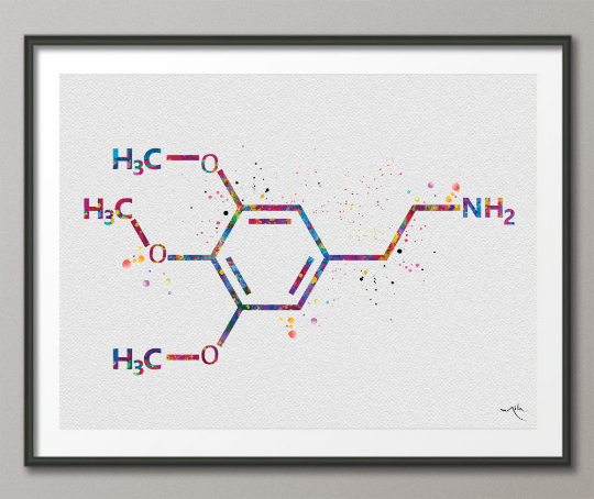 Mescaline Molecule Watercolor Print Chemical Molecule Wall Art Nerd Science Art Biology Medical Art Chemistry Laboratory Medical Clinic-1647 - CocoMilla