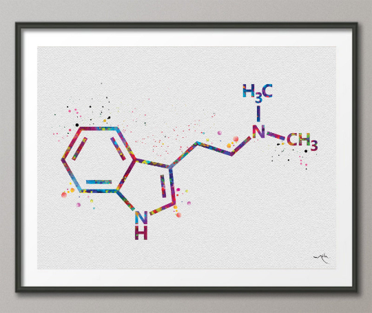 DMT Molecule Watercolor Print Chemical Molecule Symbol Wall Art Nerd Science Biology Medical Art Chemistry Laboratory Medical Clinic-1646 - CocoMilla