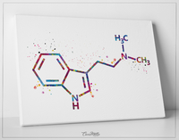 DMT Molecule Watercolor Print Chemical Molecule Symbol Wall Art Nerd Science Biology Medical Art Chemistry Laboratory Medical Clinic-1646 - CocoMilla