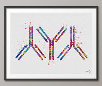 Antibody Watercolor Print Antibodies Medical Art immunology Nurse Practitioner Medicine immune system IgG CANVAS Doctor Office Clinic-1292 - CocoMilla