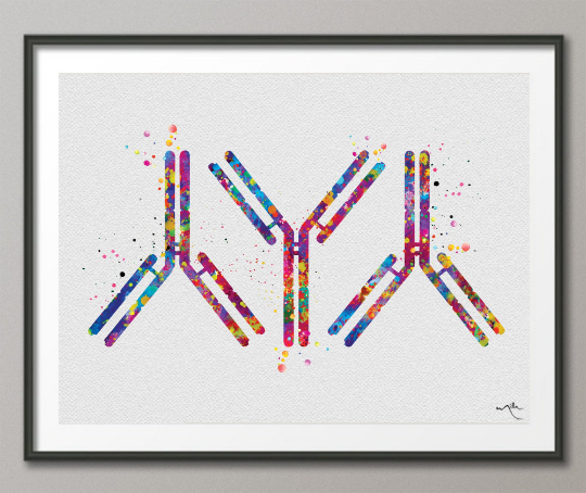 Antibody Watercolor Print Antibodies Medical Art immunology Nurse Practitioner Medicine immune system IgG CANVAS Doctor Office Clinic-1292 - CocoMilla