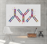 Antibody Watercolor Print Antibodies Medical Art immunology Nurse Practitioner Medicine immune system IgG CANVAS Doctor Office Clinic-1292 - CocoMilla