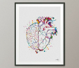 Brain and Heart Balance Watercolor Print Medical Art Science Geek Nerd Gift Neurology Wall Art Artistic Office Psychology PSI Wall Decor-325 - CocoMilla