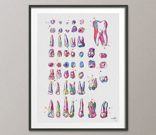 Dental Chart Watercolor Print Tooth Art Teeth Dental Clinic Decor Dentistry Student Office Decor Graduaiton Dentist Gift Medical Art-1272 - CocoMilla