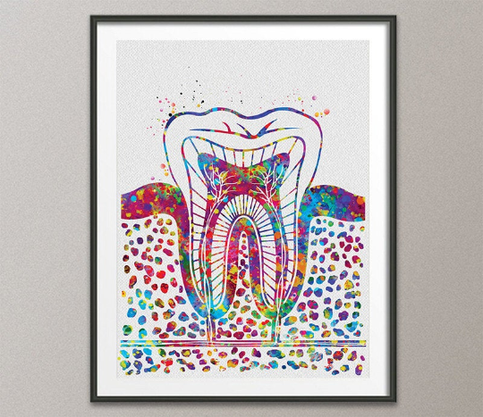 Molar Tooth Watercolor Print Tooth Anatomical Art Dental Clinic Decor Art Dentistry Student Science Graduaiton Dentist Gift Doctor Art-1035 - CocoMilla