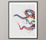 Octopus Tentacle Sea Life Watercolor Art Print Coastal Art Wall Art Poster Giclee Wall Decor Art Home Decor Wall Hanging [NO 599] - CocoMilla
