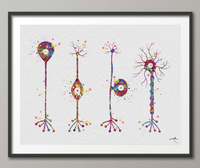 Neuron Basic Types Watercolor Print Motor Neurotransmitter Science Art Neurology Medical Art Brain Art Neuroscience Neurologist Office-161 - CocoMilla