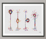 Neuron Basic Types Watercolor Print Motor Neurotransmitter Science Art Neurology Medical Art Brain Art Neuroscience Neurologist Office-161 - CocoMilla