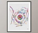 Eye Ball Watercolor Print Eyeball Optometrist Gift Optician Poster Eye Doctor Art Medical Art Ophthalmology Surgeon Eye Clinic Wall Art-1360 - CocoMilla