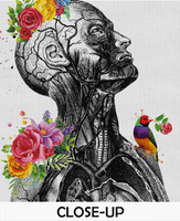 Head Anatomy Torso Floral Watercolor Print Neurology Clinic Decor Human Anatomy Poster Medical Art Flowers Science Bird Print Office-1362 - CocoMilla