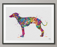 Whippet Dog Watercolor Print Whippet Greyhound Painting Greyhound Whippet Gift Dog Lover Animal Print Dog Poster Greyhound Art Dog Art-425 - CocoMilla