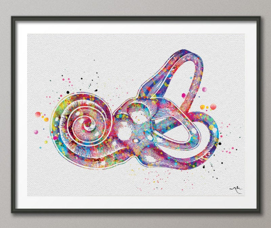 Inner Ear Labyrinth Watercolor Print Audiologist Gift Audiology Poster Ear Diagram Anatomical Office Decor Medical Art Histology Art-398 - CocoMilla