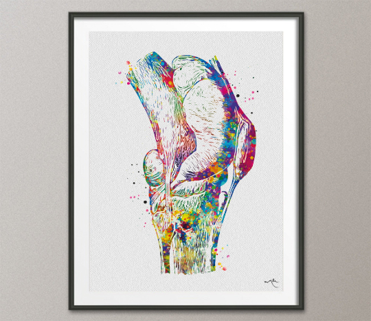 Knee Anatomy Art Watercolor Print Orthopedic Surgeon Gift Physiotherapists Office Decor Medical Art Chiropractic Clinic Poster -1363 - CocoMilla