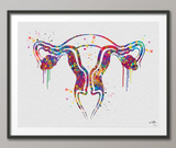 Uterus Watercolor Print Human Organs Gynecology Anatomical Clinic Decor Fallopian Tubes Graduaiton Gift OBGYN Medical Nurse Midwife Art-1034 - CocoMilla