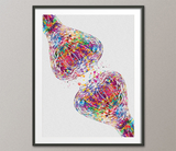 Synapse Receptor Watercolor Print Science Poster Neurology Art Neuroscience Medical Art Brain Graduation Gift Clinic Office Decor Gift-1337 - CocoMilla