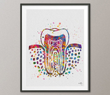 Molar Teeth Cross Section Watercolor Print Tooth Anatomical Art Dental Assistant Clinic Decor Dentistry Office Dentist Gift Doctor Art-1278 - CocoMilla
