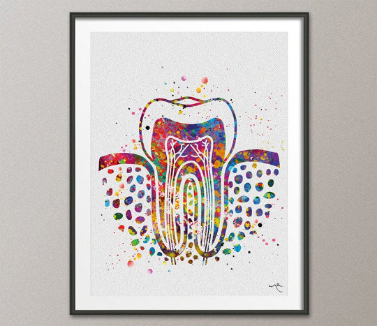 Molar Teeth Cross Section Watercolor Print Tooth Anatomical Art Dental Assistant Clinic Decor Dentistry Office Dentist Gift Doctor Art-1278 - CocoMilla