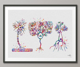 Multipolar Neuron Watercolor Print Science Poster Neurology Medical Art Brain Graduation Neuroscience Neurologist Clinic Decor Gift-1038 - CocoMilla