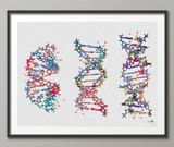 DNA Molecule Watercolor Painting Print Medical Wall Art Nurse Gift Medical Art Science Art Dorm Gift for Doctor Laboratory Decor Biology-849 - CocoMilla