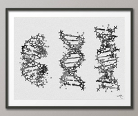 DNA Molecule Watercolor Painting Print Medical Wall Art Nurse Gift Medical Art Science Art Dorm Gift for Doctor Laboratory Decor Biology-849 - CocoMilla